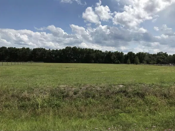 C478A (GANT LAKE RD) LOT 017, WEBSTER, FL 33597
