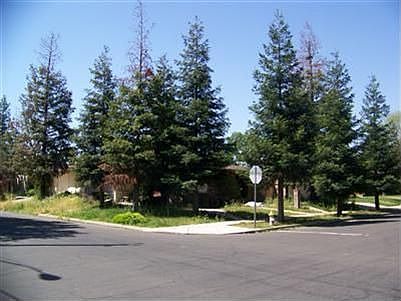 4th image of 105 W Robinson Ave