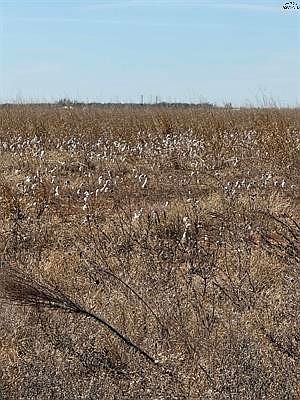 2nd image of County Road 168