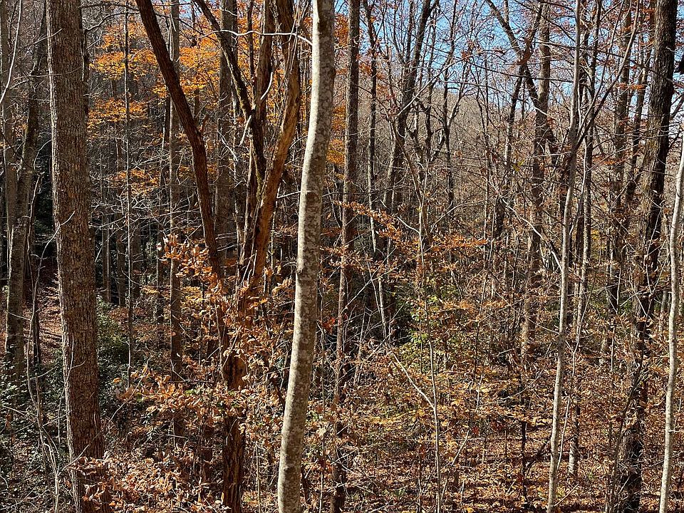 2nd image of 74J Ash Branch Dr