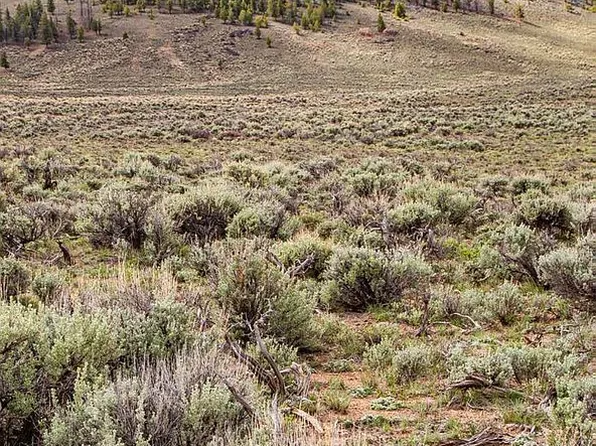 0 Powerline Rd, Gunnison, CO 81230