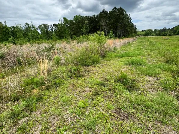 Tracts 20 & 21 Pr #7701, San Augustine, TX 75972