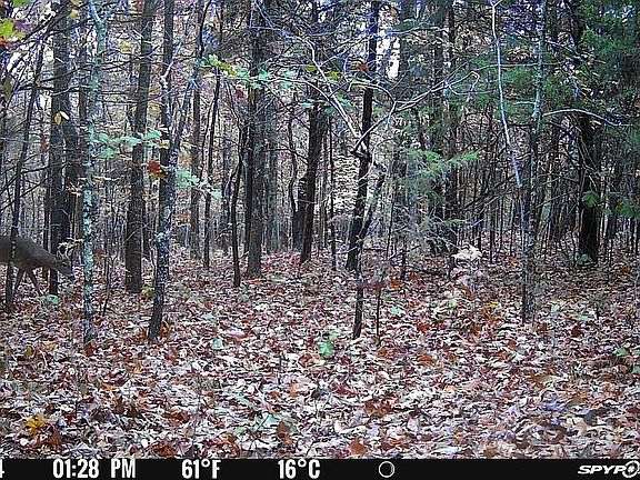3rd image of 23609 State Hwy N