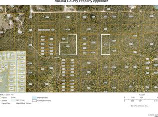 JOYCE (PAPER) STREET LOT 11, LAKE HELEN, FL 32744