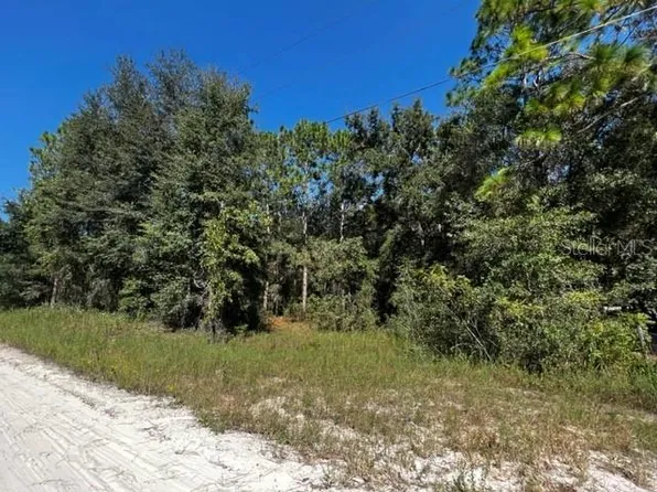 NW 15th Ave Lot 3, Bell, FL 32619