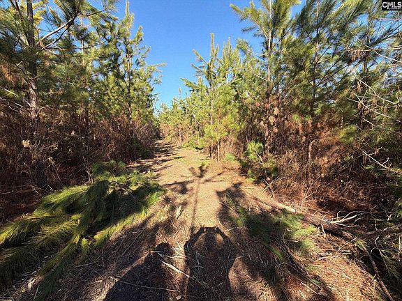 4th image of Bff Ii 8 Brunson Teal Rd