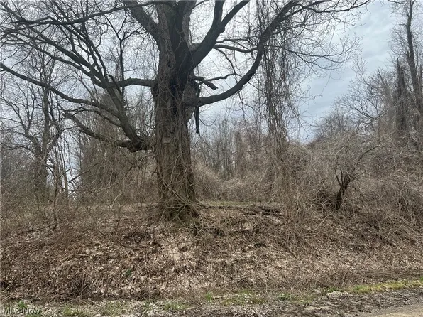 S Ridge Rd W, Conneaut, OH 44030