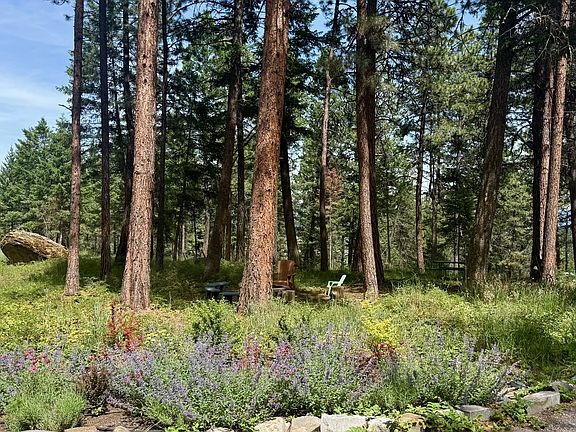 Picnic area and fire pit in front of house