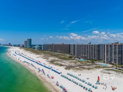 26800 Perdido Beach Blvd #913, Orange Beach, AL, 36561