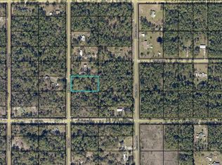 10250 Light Ave, Hastings, FL 32145