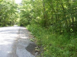 0 Pumpkin Hollow Rd, Oneonta, NY 13820