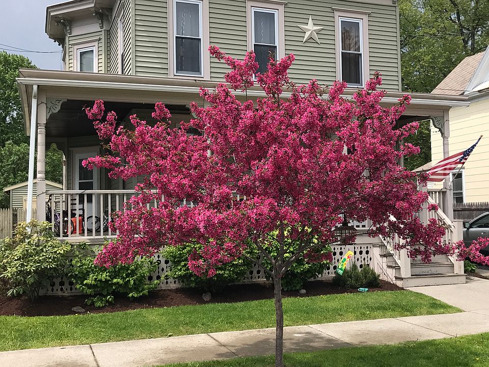 1st image of 10 Pearne Ave