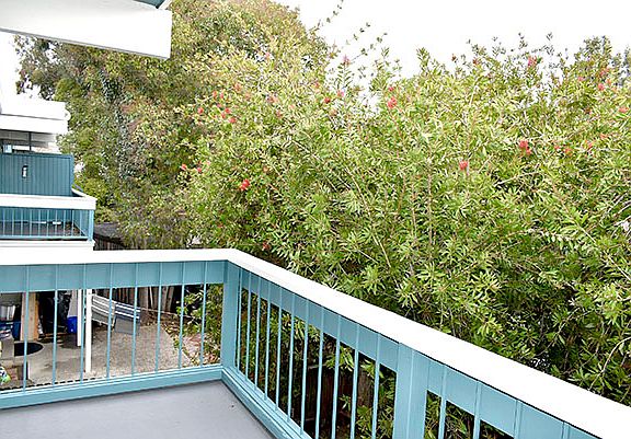 4th image of 810 Mariposa St