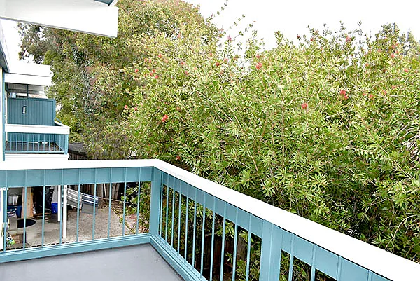 810 Mariposa St — Photo 4