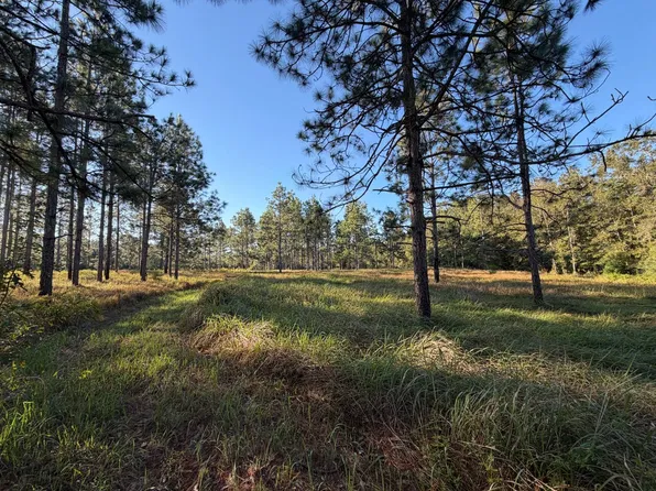 27151 County Road 65, Loxley, AL 36551