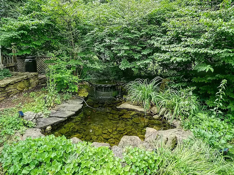 Goldfish pond in yard