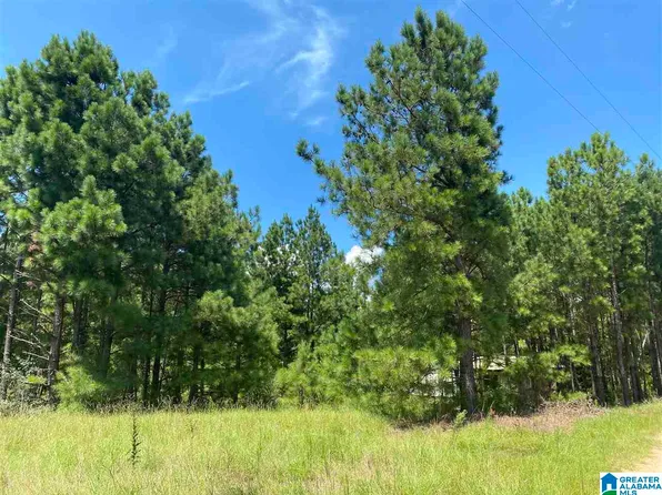0 County Road 1049 Lot 1, Maplesville, AL 36750