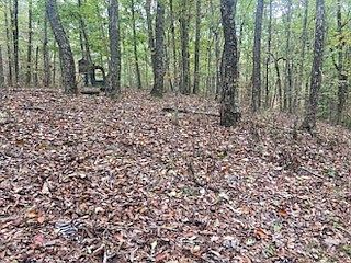 2nd image of 2 Jackson Point Rd
