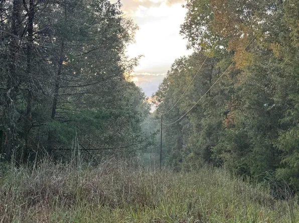 County Road 4167, Sallis, MS 39160