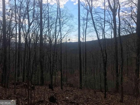 0 Shadow Mountain Dr, Dillard, GA 30537