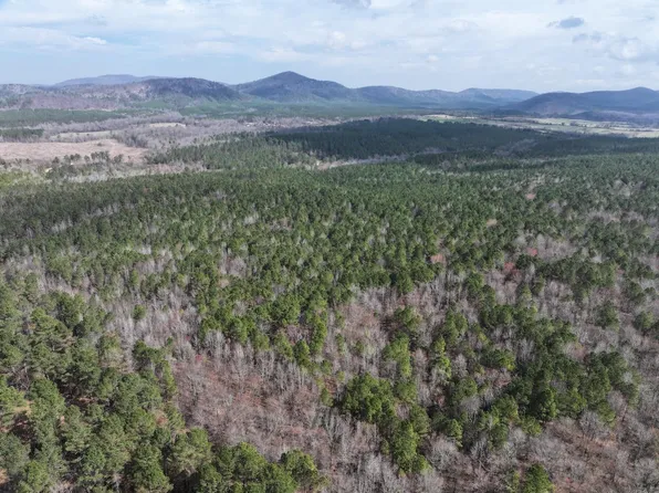 J Dunson Rd Tract 1, Langley, AR 71952