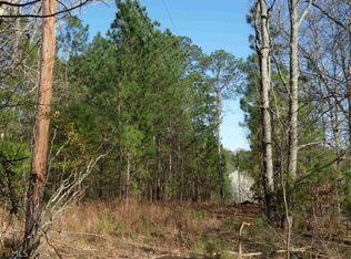 10789 English Rd, Hampton, GA 30228