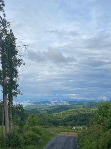 0 Basham Branch Rd, Jumping Branch, WV, 25969