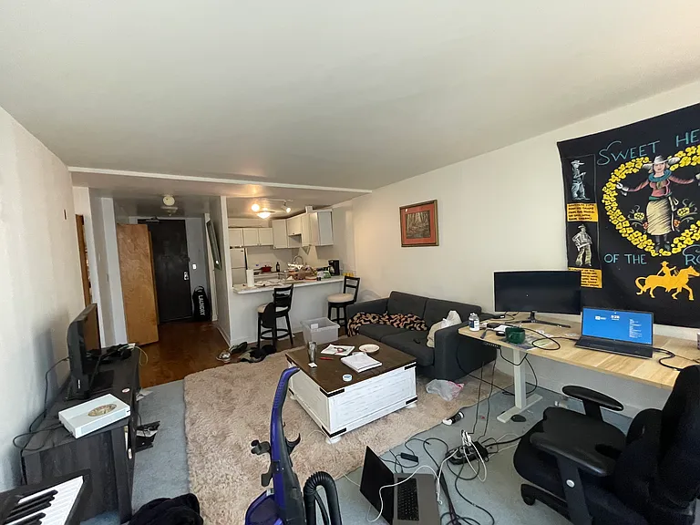 233 E Erie St #2309 — Photo 15
