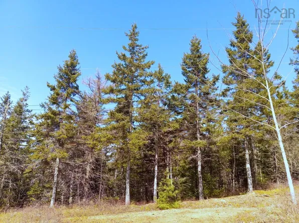 Johnny Cash Ln #13, Cape Breton, NS B1K 0C1