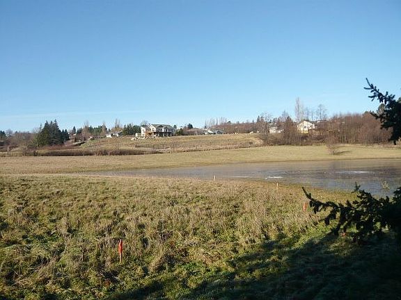 View of Pond
