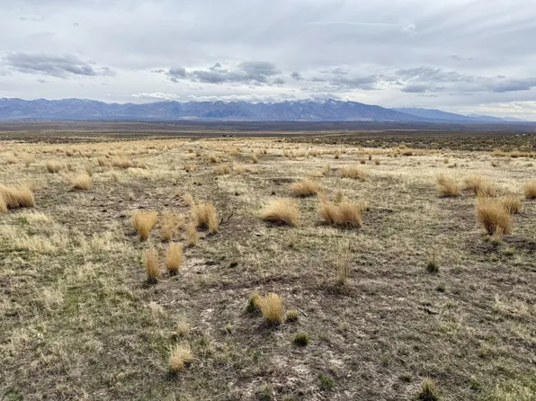 Sapphire, Spring Creek, NV 89815