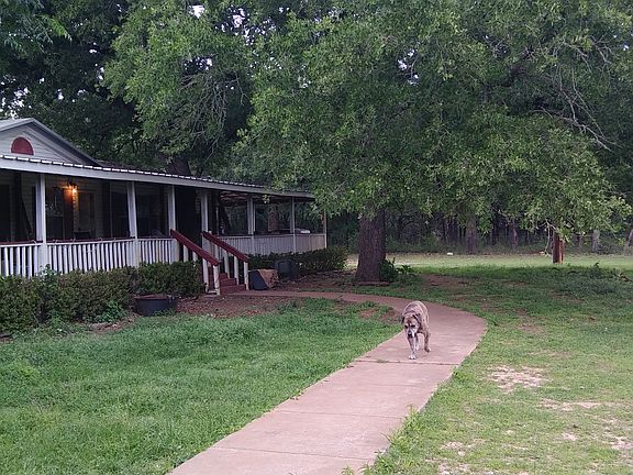 5th image of 264 Mount Pleasant Ave