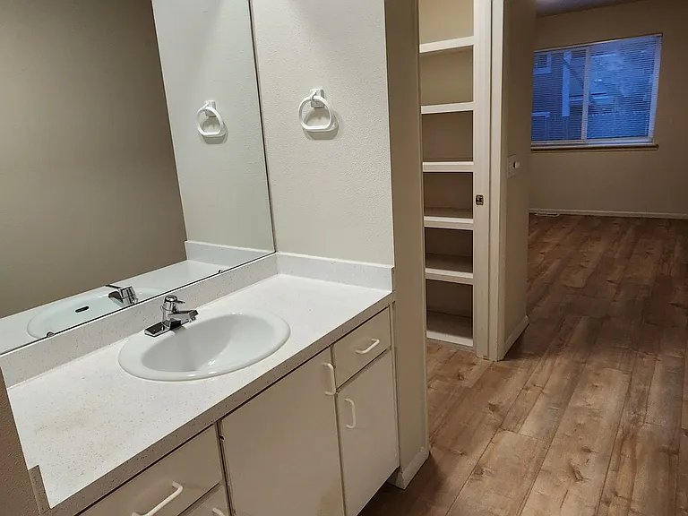 Master bedroom with vanity/sink and walk-in closet