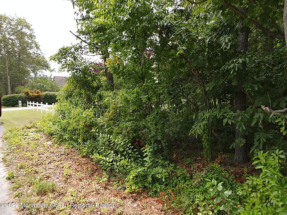5th image of 384 McKinley Ave