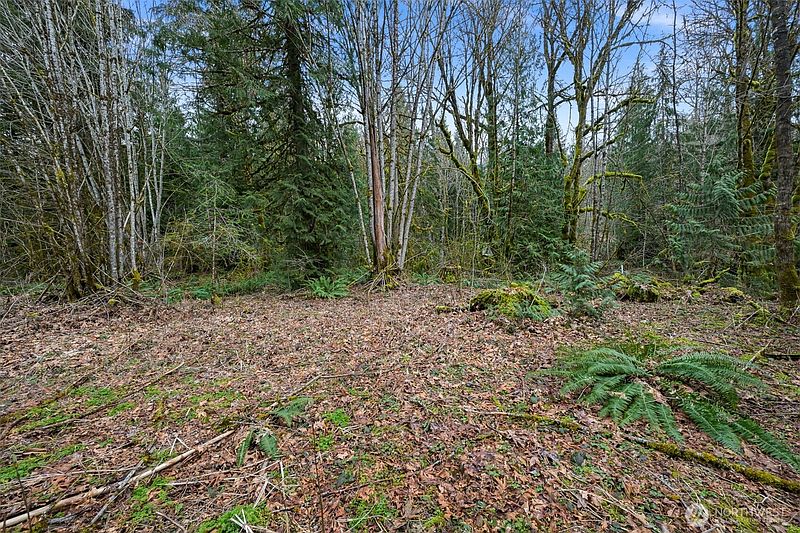 4th image of 7738 Maple Drive