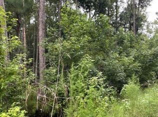 86 Floyd Dr NE, Townsend, GA 31331