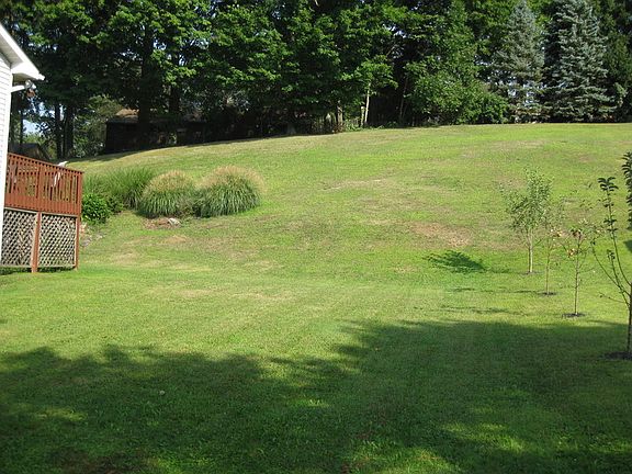 A view of the back yard : A very spacious area for relaxing.