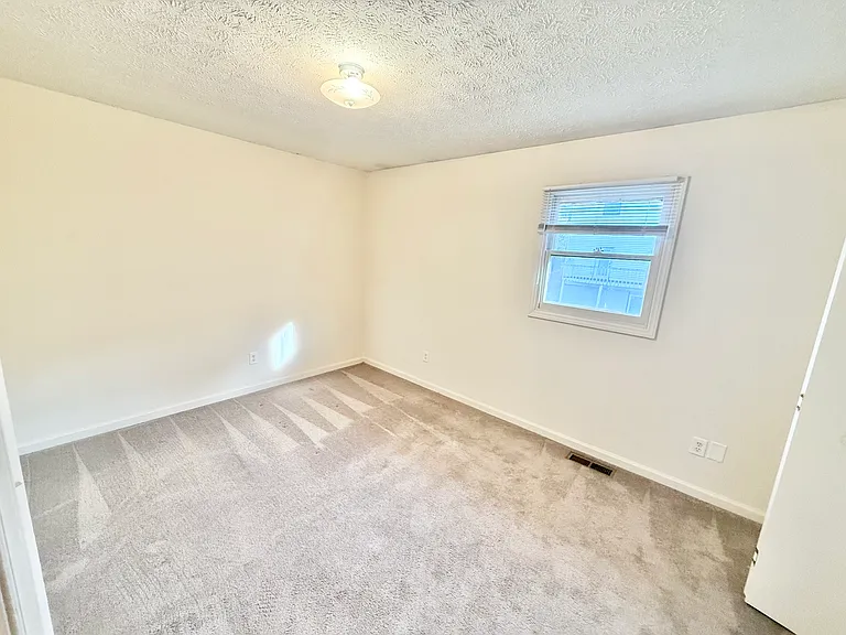 342 Old Gray Station Rd — Photo 10