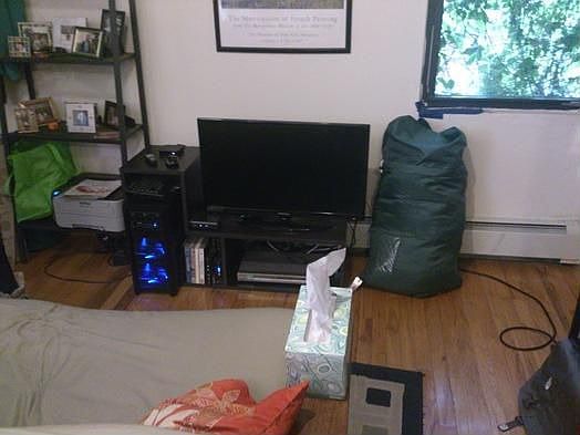 4th image of 262 4th Ave APT 2