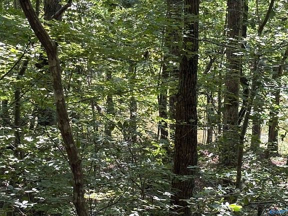 2nd image of 1500 County Road 103 Lot 53