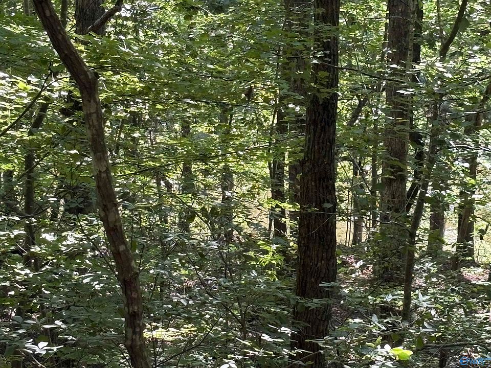 2nd image of 1500 County Road 103 Lot 81