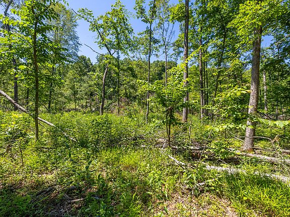 5th image of 0 White Oak Rd Lot 39