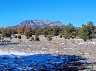 1 Jackass Ln, Datil, NM 87821