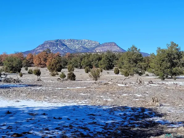 1 Jackass Ln, Datil, NM 87821