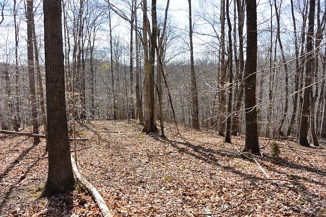 2nd image of 4 Trinity Ln