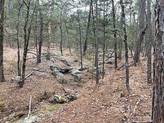 3rd image of 4940 Beaver Dam Rd