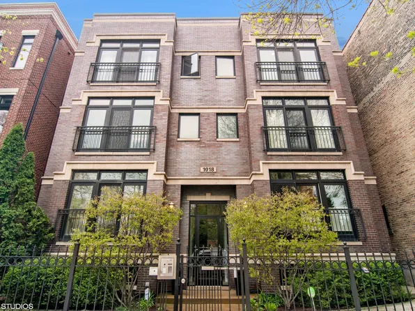 1018 S May St #B, Chicago, IL 60608