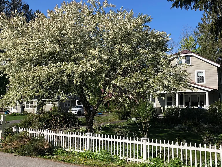 31 Willis Rd #1 — Photo 15