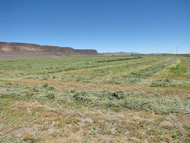 26277 Plush Adel Rd, Plush, OR 97637 Zillow