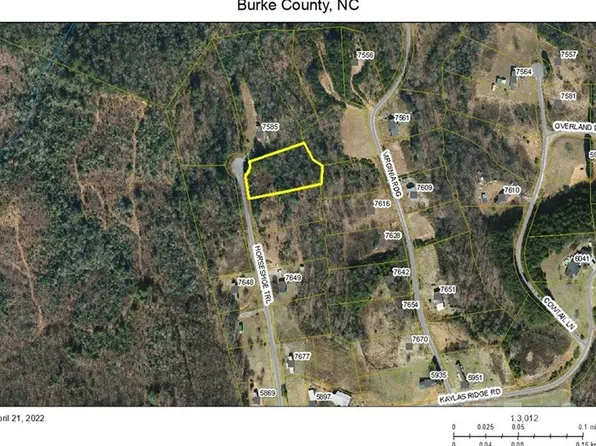 Horseshoe Trl #40, Connelly Springs, NC 28612